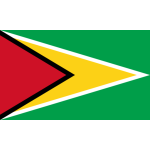 Flag - Guyana - (3x5')